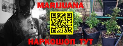 мдпв Новозыбков