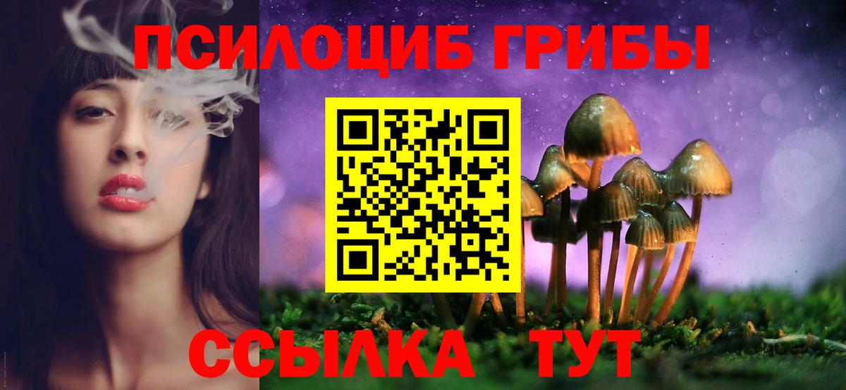 цены   Вход с VPN  Семилуки  Псилоцибиновые грибы Psilocybe 
