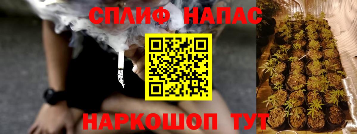 МАРИХУАНА SATIVA & INDICA  Вход с VPN  Семилуки  Марихуана сатива 